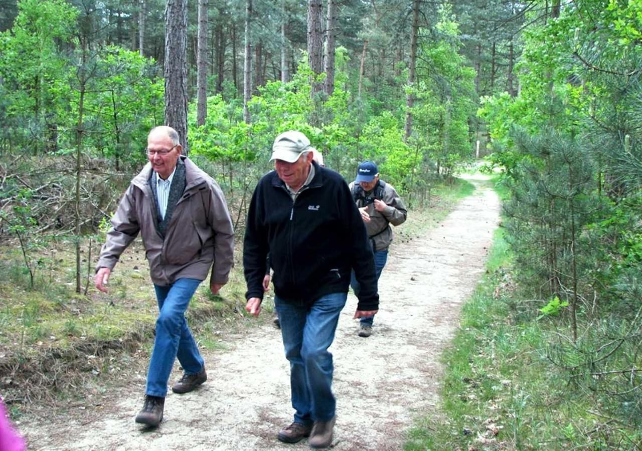 B&B Hotel De Vrije Vogel Elsloo  Eksteriør bilde